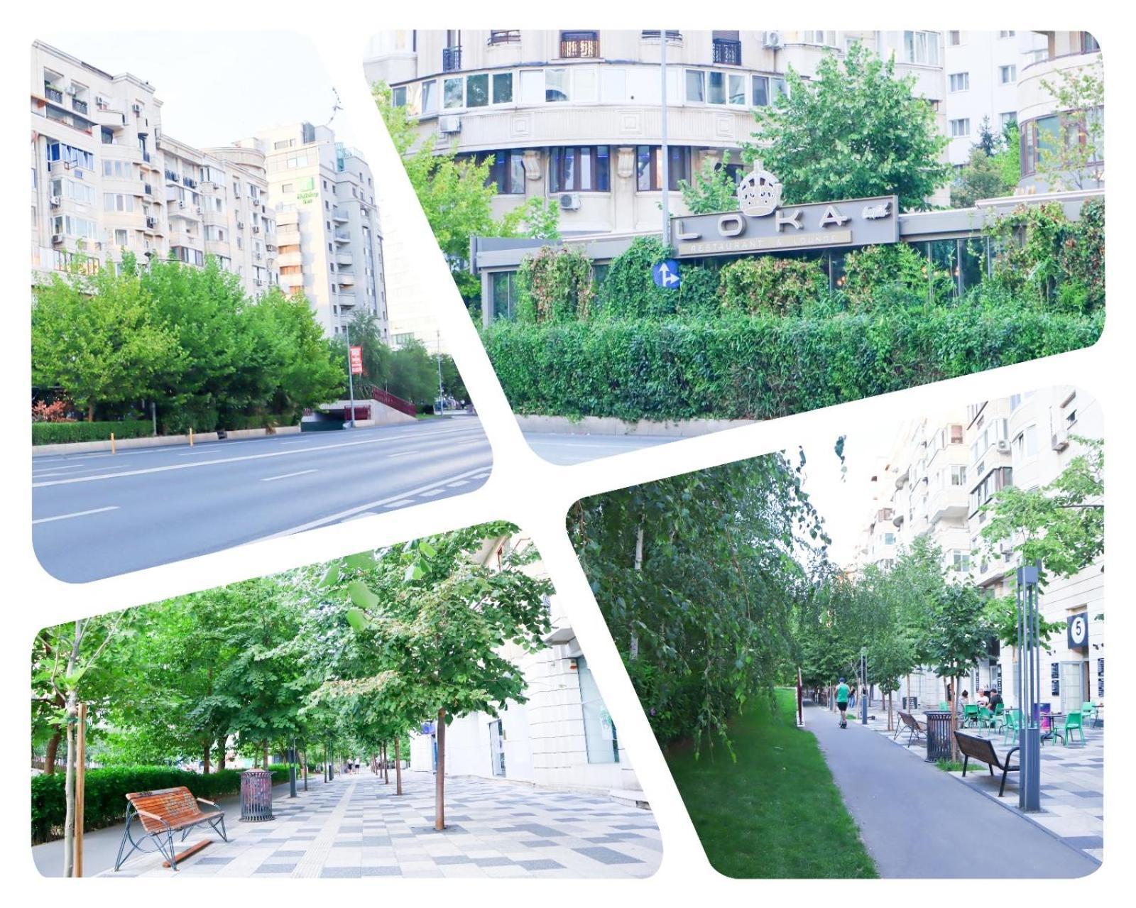Central Apartament Bulevardul Decebal Бухарест Екстер'єр фото